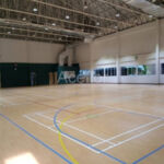 Aceflex-Aceflex Спорт