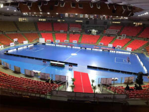 АСЕФЛЕКС 1 ВИНИЛОВОЕ СПОРТИВНОЕ ПОКРЫТИЕ ДЛЯ ЗАКРЫТОЙ ХОККЕЙНОЙ СПОРТИВНОЙ ПЛОЩАДКИ