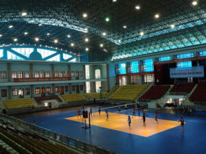 АСЕФЛЕКС 2 ВИНИЛОВОЕ СПОРТИВНОЕ ПОКРЫТИЕ ДЛЯ ЗАКРЫТОЙ ВОЛЕЙБОЛЬНОЙ ПЛОЩАДКИ