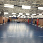 Aceflex-Aceflex Спорт